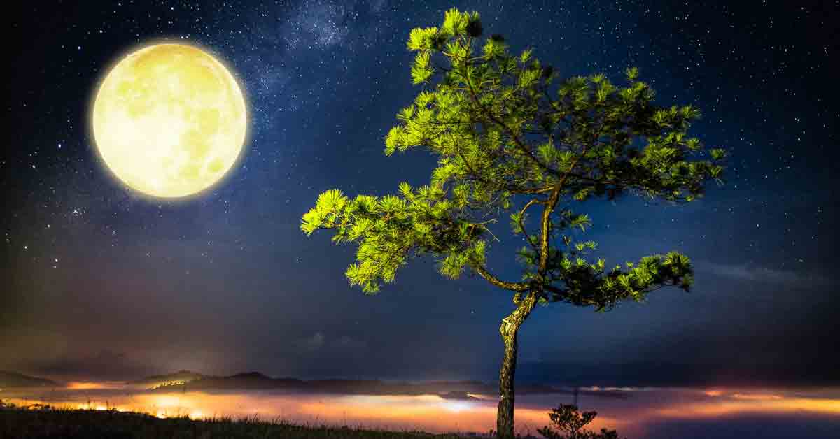 Lịch âm – sự liên tục của chu kỳ trăng tròn