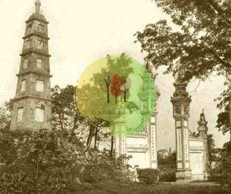 den ngoc son